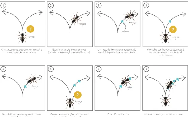 Figura  3-  Esquema  ilustrativo  do  processo  de  comunicação  indireta  a  partir de  feromonas  realizado  por  formigas