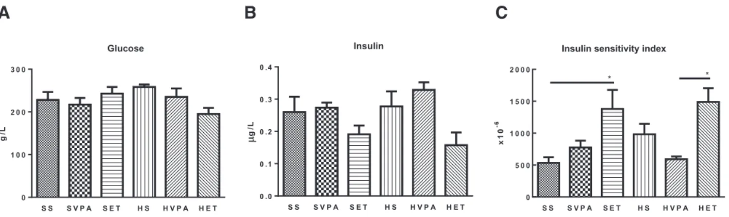 Fig. 2. The effect of diet, voluntary physical activity and endurance training on plasma glucose homeostasis: A) glucose (g/L); B) insulin (μg/L); C) insulin sensitivity index