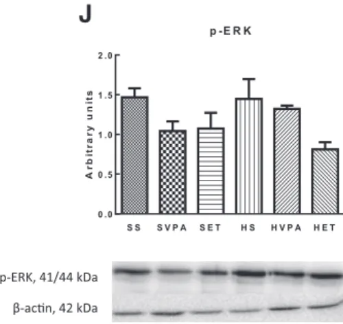 Fig. 4 (continued).