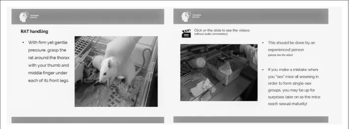 Figure 1. Example of e-lessons slides, with illustrative images and explanatory videos.