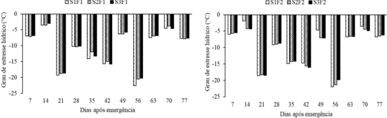 Figura 5. Valores médios de grau de estresse hídrico para plantas de batateira var. 
