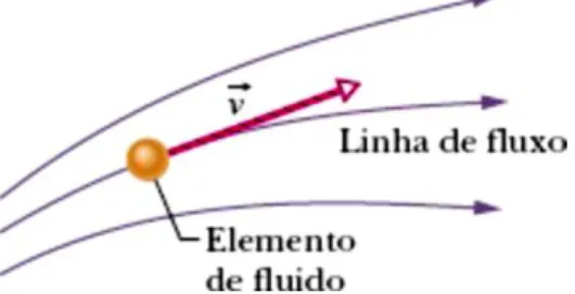Figura 10: Linha de fluxo de um elemento de fluido. 