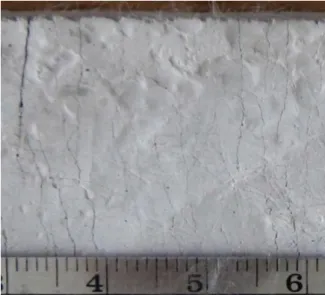 Figure 2. 21- Multiple micro-crack obtained dureing the unixial tensile test of geopolymer specimens.