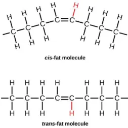 Figure 2.4 – Cis and Trans-fat Molecule (Adapted from: (Clark et al., 2012)) 