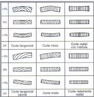 Figura 10 - Efeitos da deformação por contração, em função do tipo de corte (Vignote,  1996) 