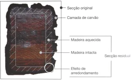 Figura 11 – Baixa condutibilidade térmica da madeira sob ação do fogo (Silva, 2013) 