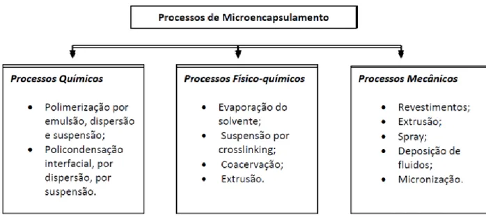 Figura 4 - Processos de microencapsulamento (Silva, 2009)(Cardoso, 2006) 