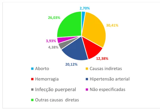 Gráfico 2 -  Distribuição percentual das causas de óbito materno no Brasil em 2019. 
