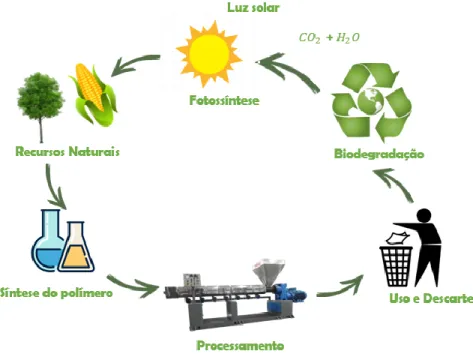 Figura 3-2 Ciclo de vida polímeros biodegradáveis.