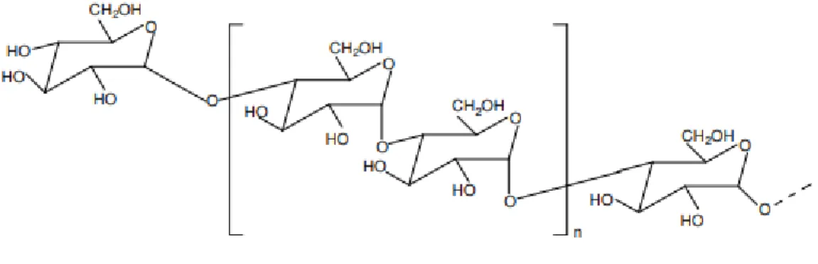 Figura 3-4 Representação da Estrutura Química de Amilose. 