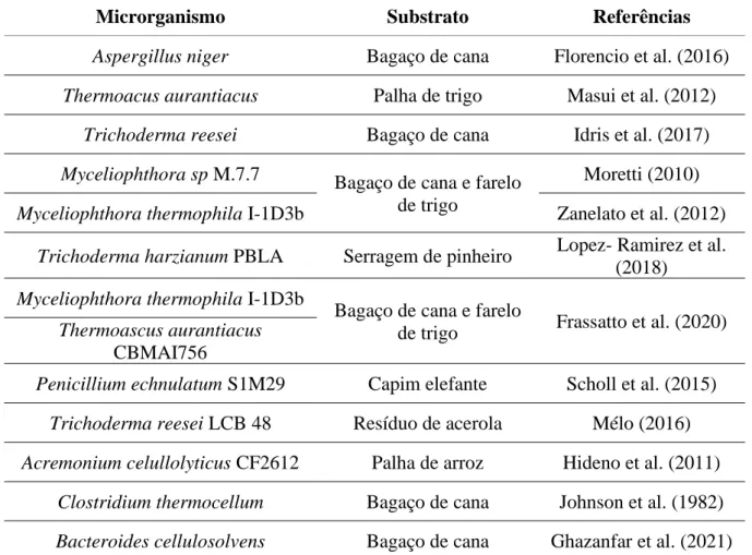 Tabela 3.1. Estudos com microrganismos produtores de celulase. 