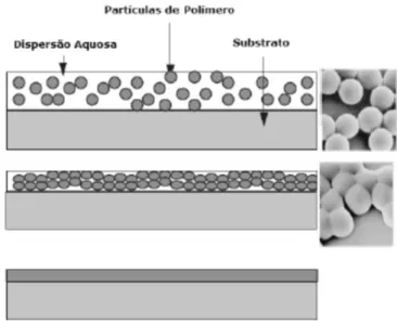 Figura 2. 2 - Mecanismos de formação dos revestimentos a partir da evaporação da água presente na PUD  [3]