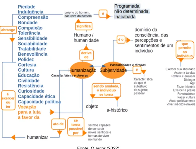 Figura 10 — Mapa conceitual da categoria humanização e subjetividade 
