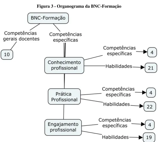 Figura 3 - Organograma da BNC-Formação 