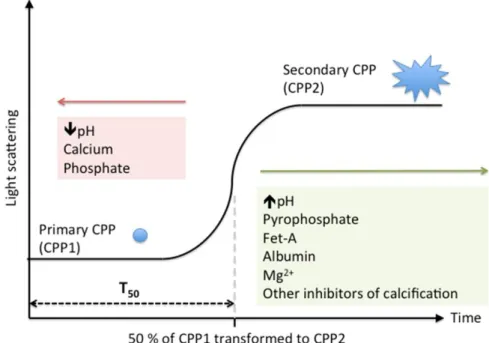 Figure 3 – T 50  test: Formation and transition from primary CPPs (CPP1) to secondary CPPs (CPP2)