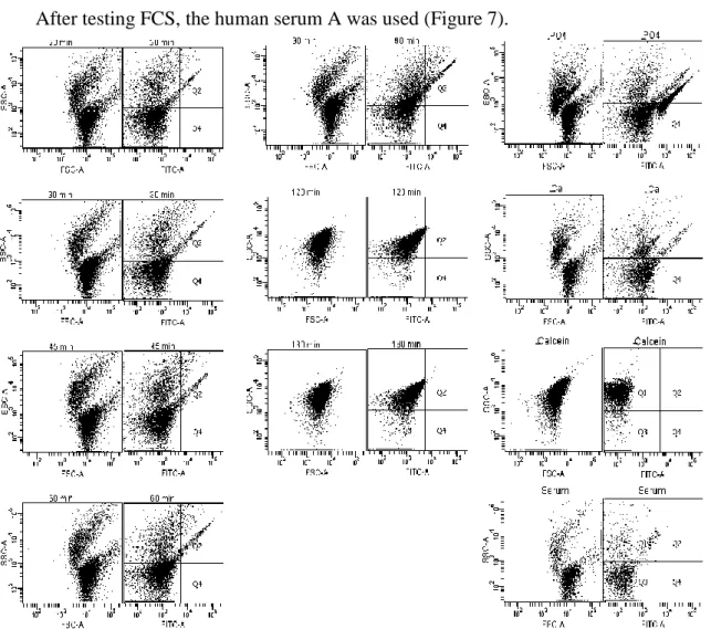 Figure 7 - Flow cytometry analyses: Calcification propensity for HS A and controls analysed after the CPPs  sample: without PO4; without Ca; without Calcein