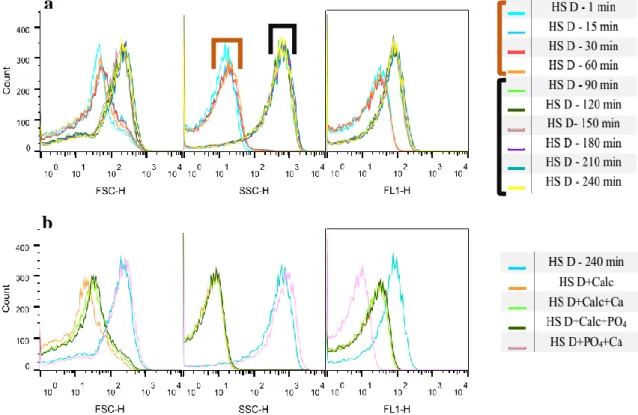 Figure 10 - Flow cytometry analyses: Calcification propensity for HS D (a); Controls analysed  after the CPP sample (b)