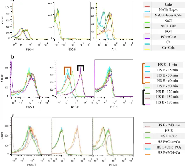 Figure 11 - Flow cytometry analyses: Controls analysed before the CPPs sample (a); 