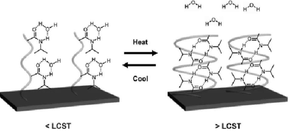 Figure 5 – Exemplification of the temperature-induced switching of a PNIPAm-modified surface
