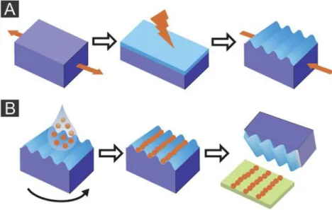 Figure 6 – The principles of wrinkling (A) and printing (B) are exposed. A: Stretched PDMS is treated with  air plasma to create a hard top layer