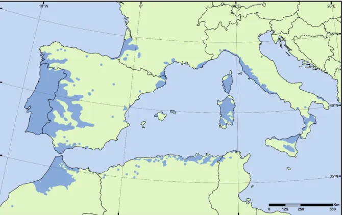 Figure 1.2.  The  cork  oak  natural  distribution  area.  Adapted  from  EUFORGEN2009