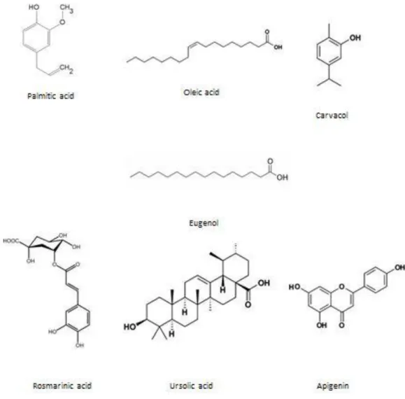 Figure 1. 5 - Chemical structures of active constituents in various  O. sanctum  species