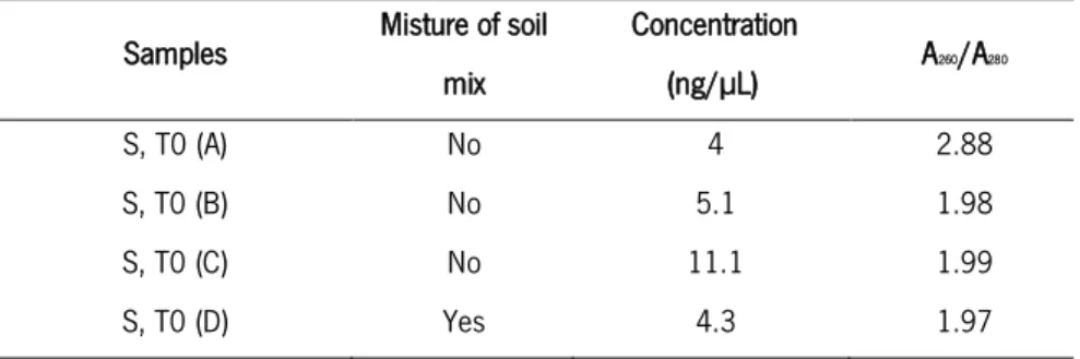 Table 7 – List of samples [type of soil (simple or mix), concentration of the DNA samples, and ratios  estimated by NanoDrop ND-1000 (NanoDrop Technologies)] to perform DNA extraction