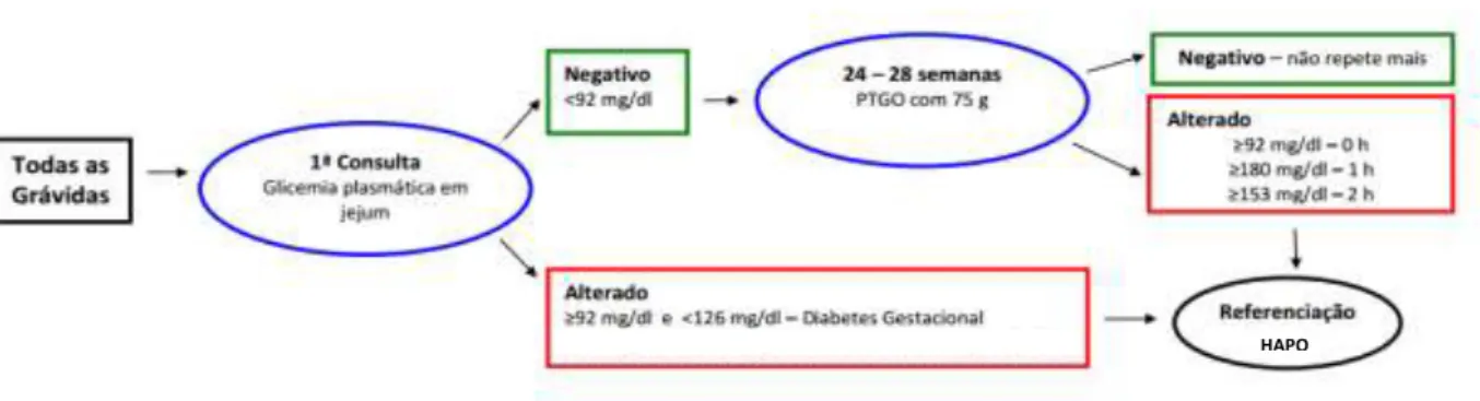 Figura 5. Fluxograma representativo do diagnóstico e conduta na diabetes na gravidez (Vicente L 2011)