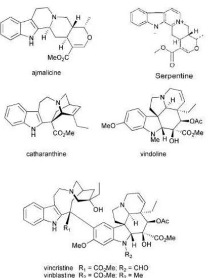 Figure 2 - Representative alkaloids of  C. roseus . Adapted from  O’Connor and Maresh, 2006 .