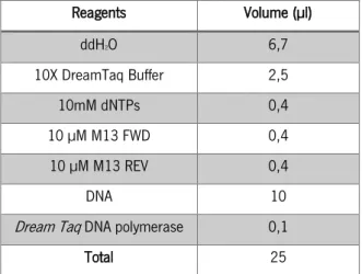 Table 6  –  Colony PCR optimized setup for amplification of the  MATE1  and  CYP.