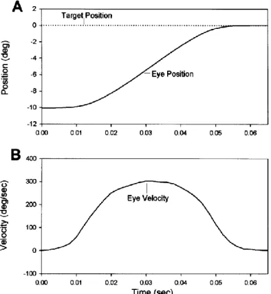 Figure 3: Plots representing characteristic parameters of accurate 10deg saccade made by a normal  subject