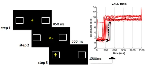 Figure 9: Procedure of the saccadic paradigm and the variables analysed. On the left hand side is  represented the paradigm