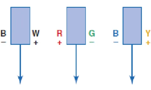 Figura  21|  Os  três  canais  oponentes  propostos  por  Hering.  O  canal  Preto  (-)  e  Branco  (+)  responde positivamente a luz branca e negativamente na  ausência de luz