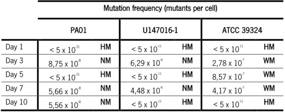 Table 3.2 - Mutation frequency of  P. aeruginosa  strains tested during microaerophilic environment with 10 % CO 2   