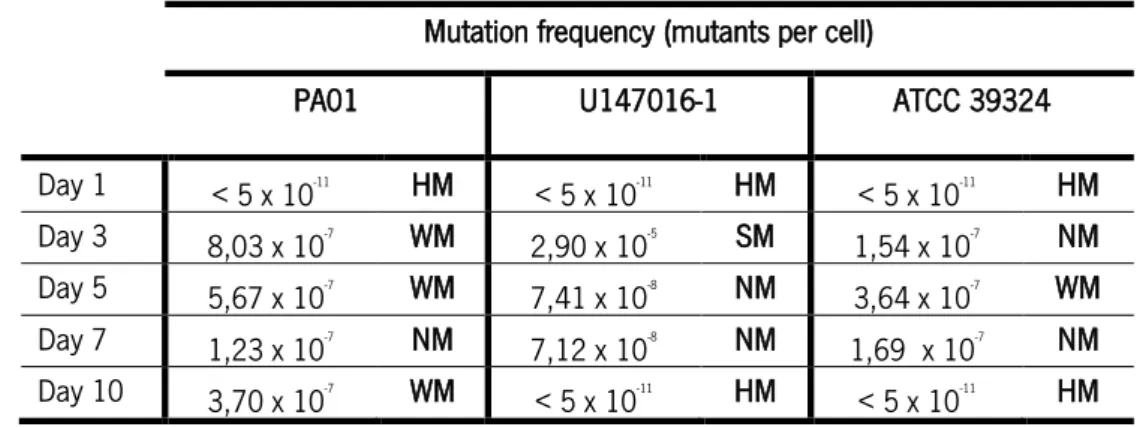 Table 3.3 -Mutation frequency of  P. aeruginosa  strains tested during microaerophilic environment with 5 % O 2   