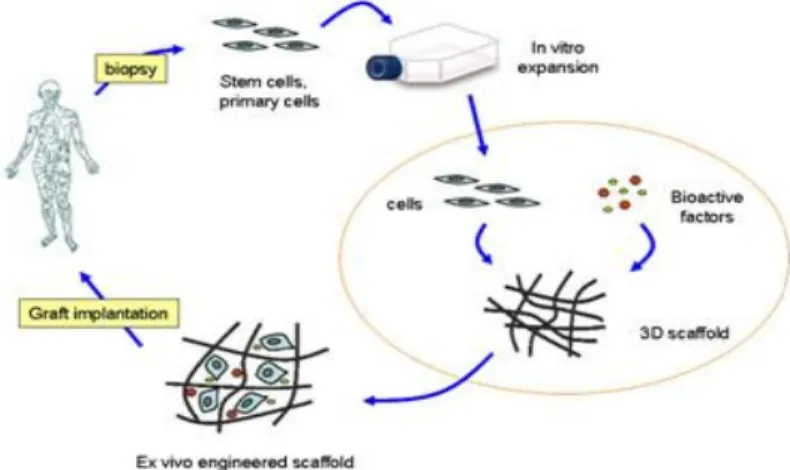 Figure 1- Tissue Engineering approaches with a combination of cells, biofactors and scaffolds   