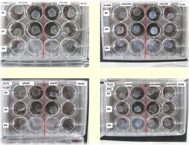 Figure 14-  oHA/oDex hydrogels obtained using different rations of the components, different MW oHA and various  concentrations of ADH 