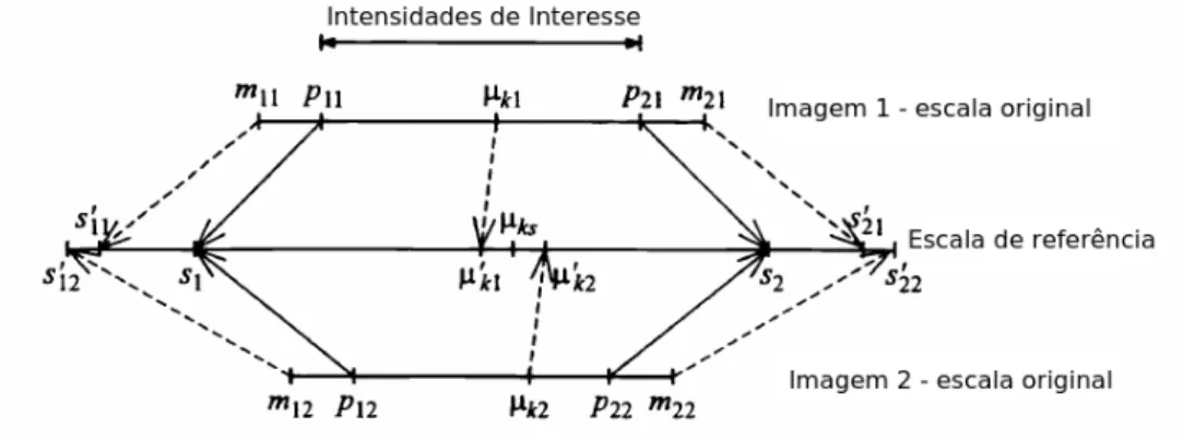 Figura 4.3: Exemplo de duas imagens de treino j = 1, 2 utilizadas para a procura dos parâmetros do histograma de referência