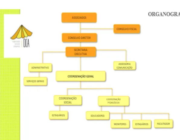 Figura 1: Organograma OCA
