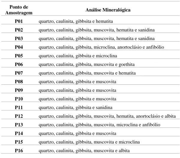 Tabela 4.1 - Composição mineralógica dos sedimentos da Bacia do Rio Santo Antônio. 