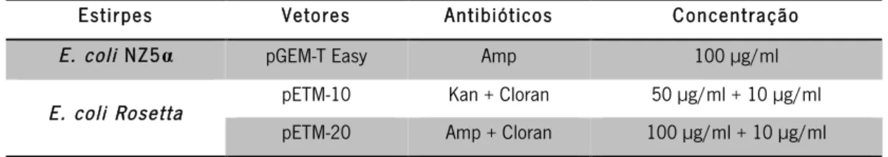 Tabela 2.4:  Tabela resumo da suplementação do meio LB com antibióticos para seleção das  culturas das estirpes de  E