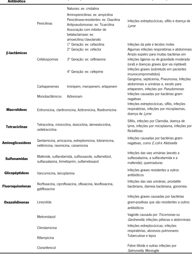Tabela 1. Exemplos de grupos de antibióticos, os seus principais representantes e indicações frequentes  (adaptado de [7, 13]) 