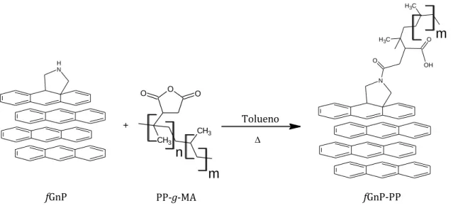 Figura 6 - Reação química do enxerto do PP-g-AM à pirrolidina do  f  GnP. 
