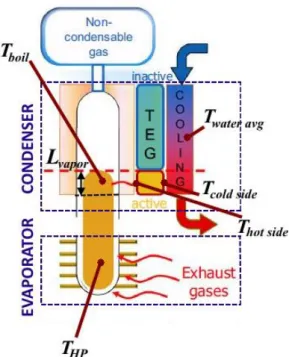 Figure 5.3- Outline of the operation of the condenser with the  representation of temperatures and height of vapour 