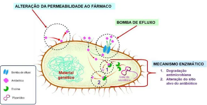 Figura 1 - Mecanismos de resistência bacteriana. 