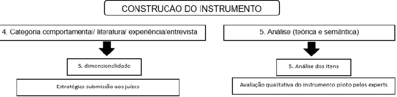Figura 3. Representação do pólo teórico-construção, Brasil, Teresina, 2020. 