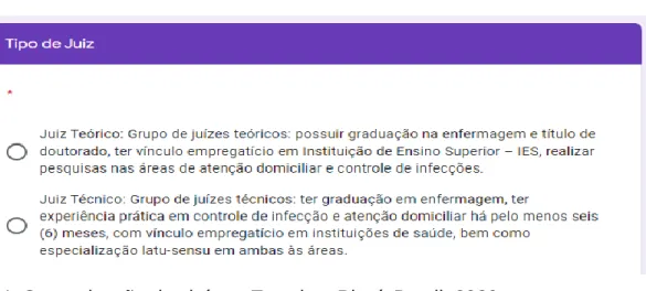 Figura 4. Caraterização dos juízes, Teresina, Piauí, Brasil, 2020. 