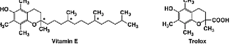 Figura 3: Estrutura molecular da Vitamina E e do Trolox. Fonte: Rezk et al., (2004) 