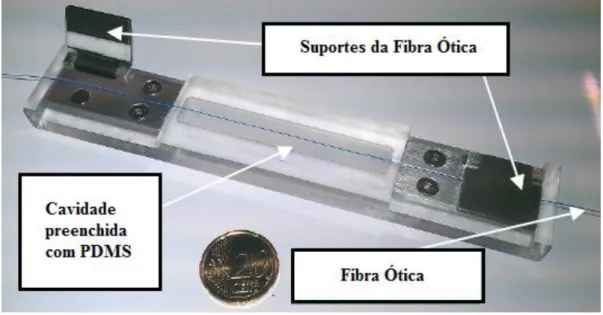 Figura 3.4:  Ilustração da estrutura finalizada com fibra ótica embebida em PDMS [30].
