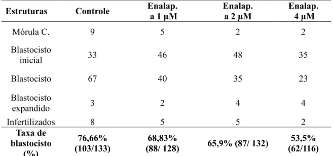 Tabela  2:  Taxa  de  blastocisto  e  estruturas  encontradas  no  D7  de  oócitos  bovinos,  cultivados em meio acrescidos de enalaprilato